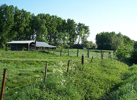 Cinder Track area ditch to left of track