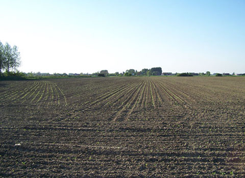 Cinder Track area 